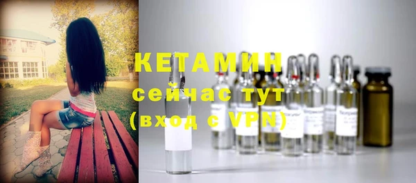 стаф Аркадак