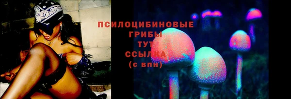 спайс Арсеньев