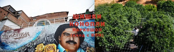 спайс Арсеньев