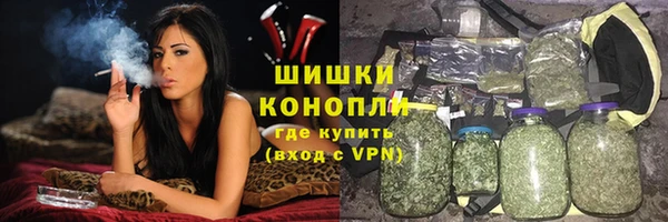 крисы Армянск