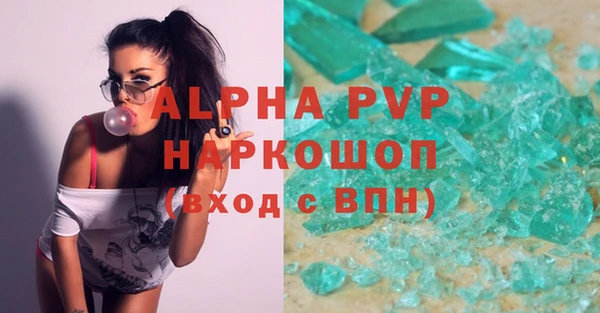 стаф Аркадак