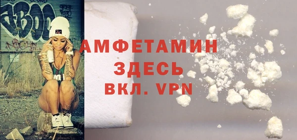 стаф Аркадак