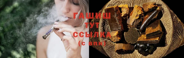 стаф Аркадак