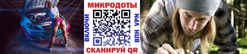 Псилоцибиновые грибы GOLDEN TEACHER Узловая